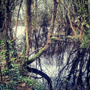 Marais de Quellen